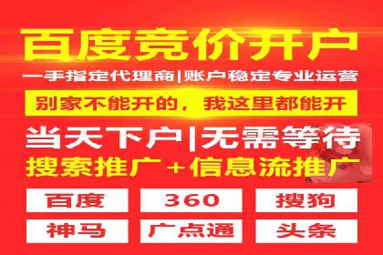 百度竞价广告的投放策略与成功案例分析